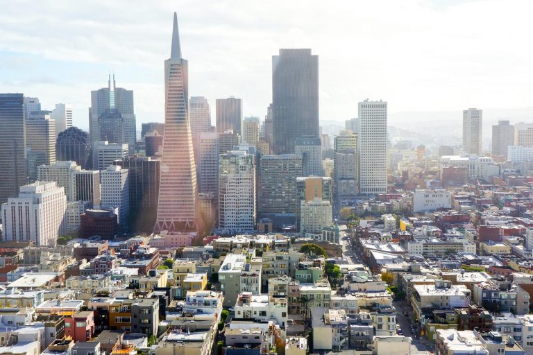 How We Find Love in Wild Places